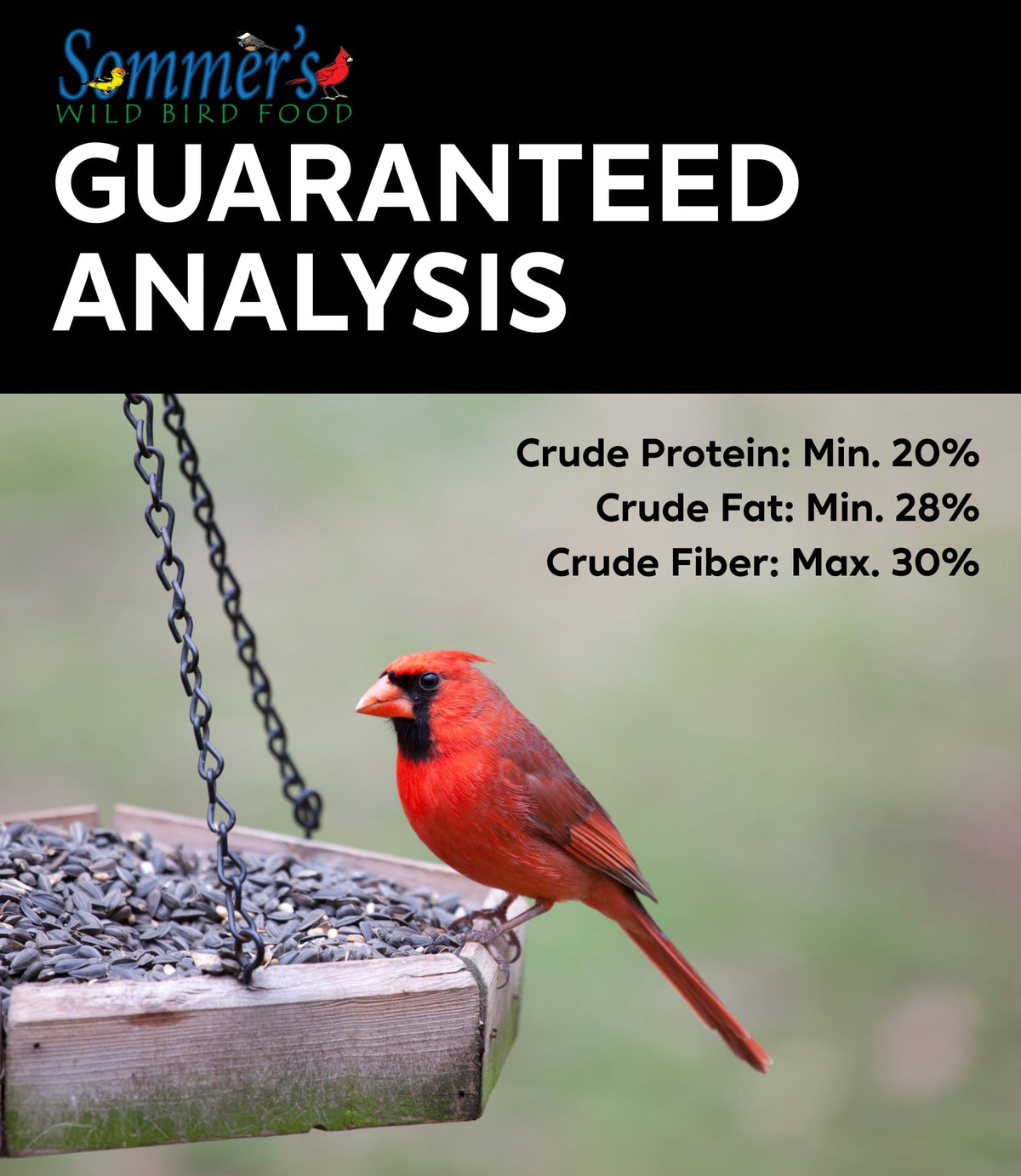 Bird Seed, 20 lb L776635