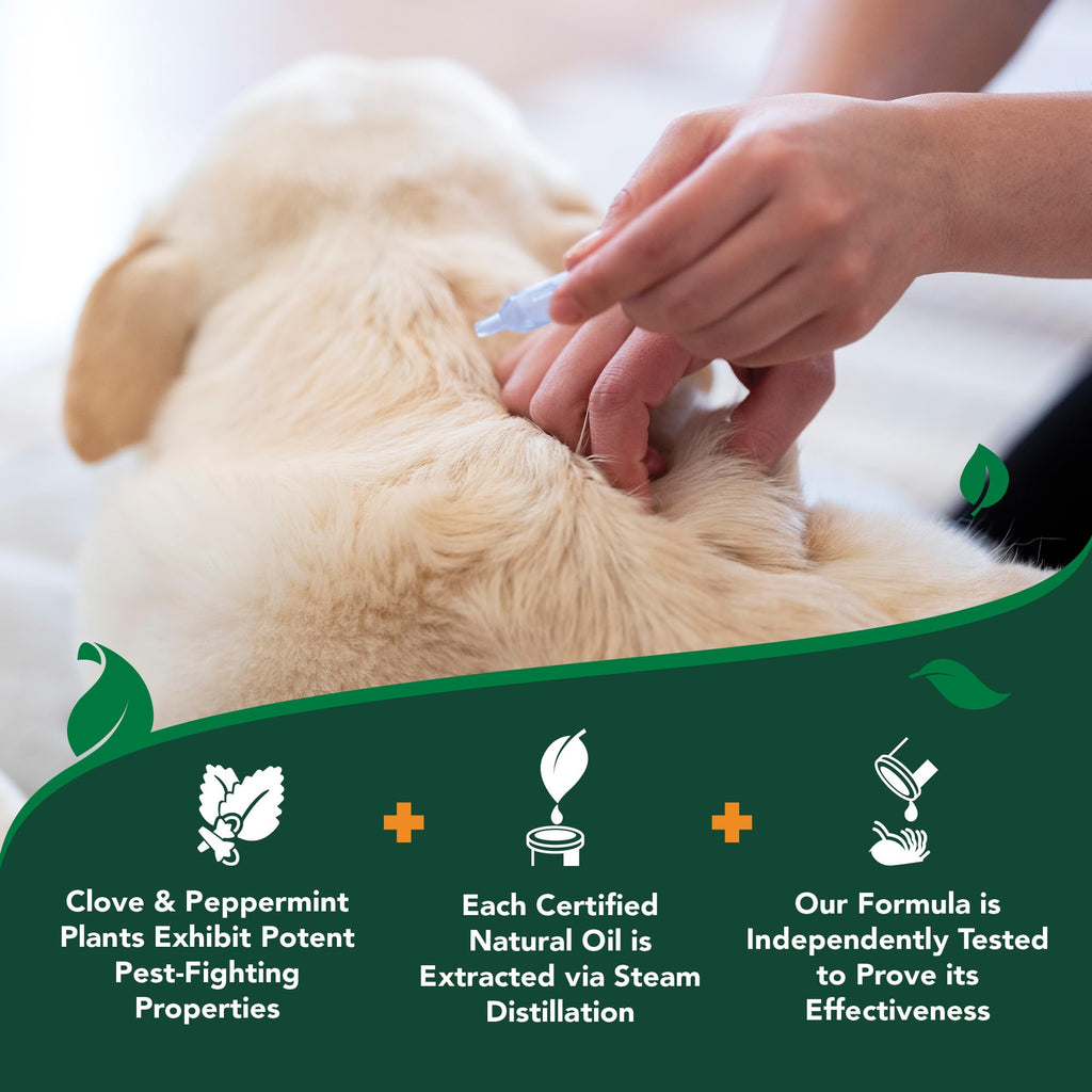 Flea & Tick Drops for Large Dogs G759373