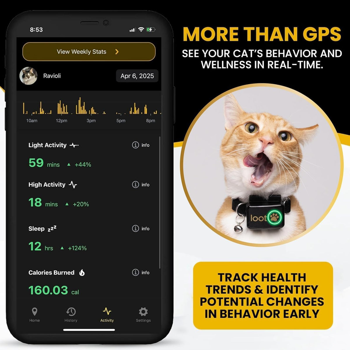 GPS Cat Tracker Collar Z8247