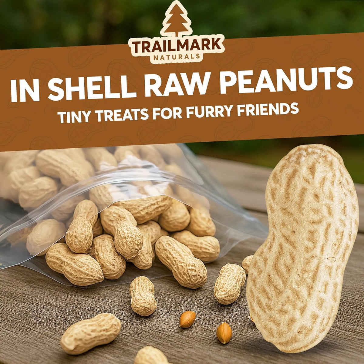 Raw Peanuts for Squirrels and Birds, 5 Pounds Total L565487